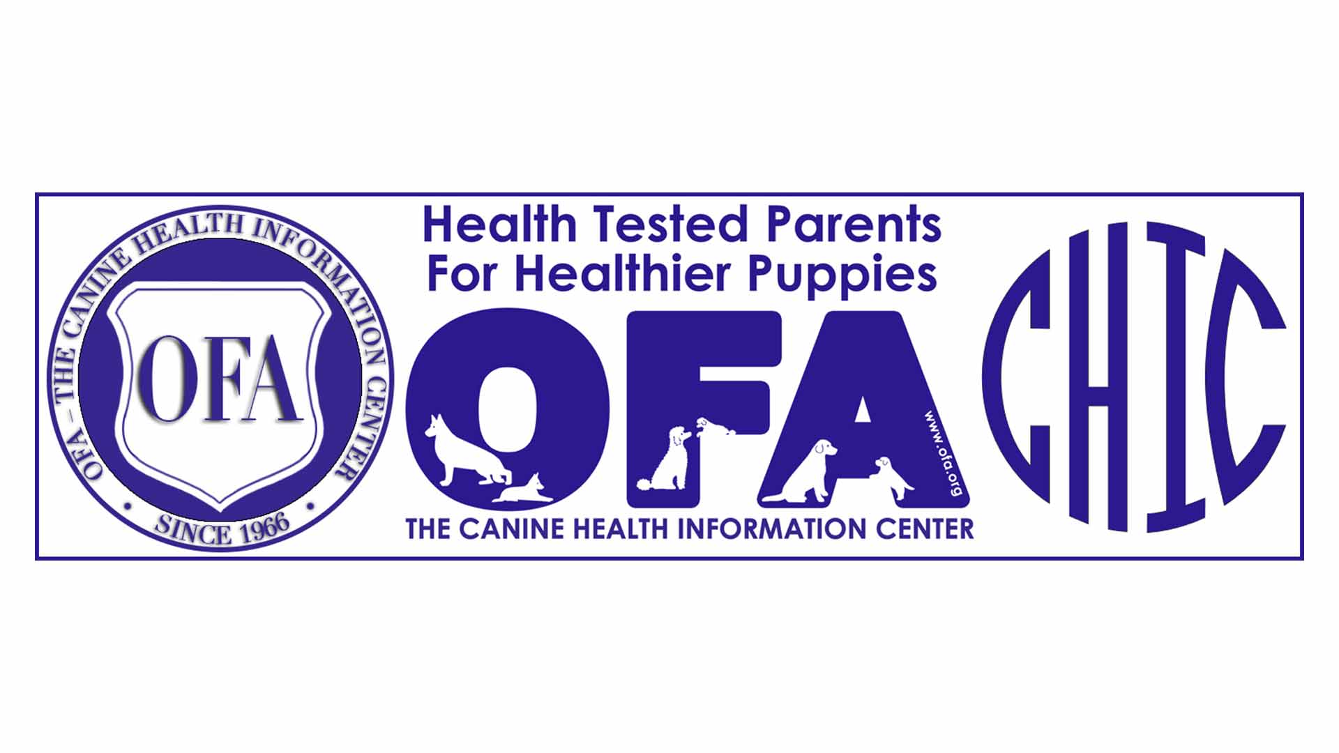 OFA logo