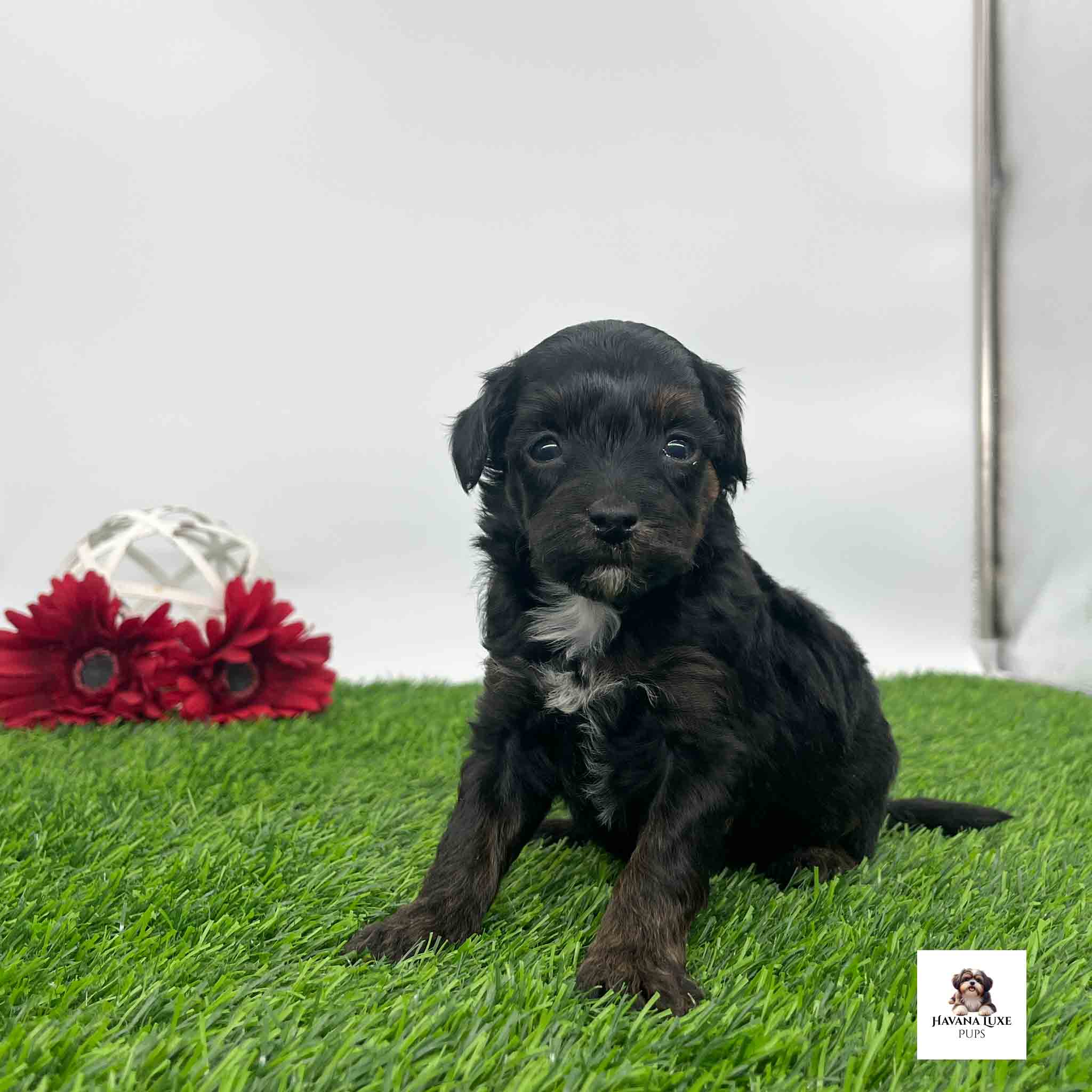 Aww check out this adorable little girl sitting on the green grass